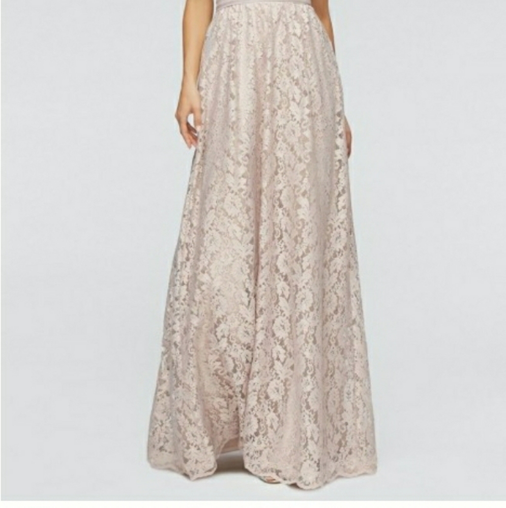 Anthropologie bhldn watters and watters lace skirt